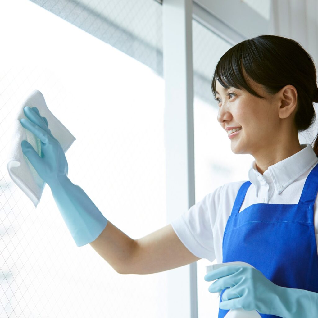 Professional Cleaning Guide